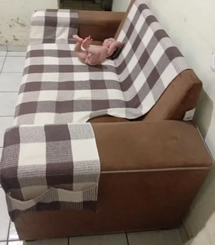 Sofá 2 lugares com Almofadas Confortáveis