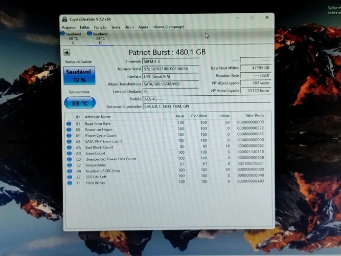 SSD Patriot Burst 480G.