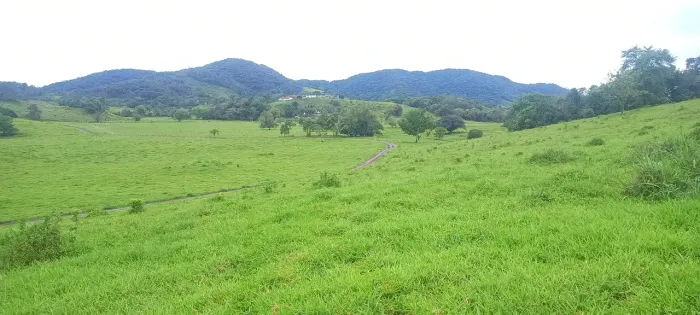 fazenda linda 40 alqueires