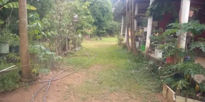 Vendo Chácara na Ponte Alta - Próximo a Embrapa