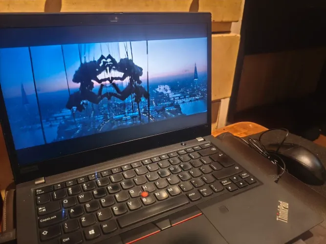 Notebook ThinkPad T495