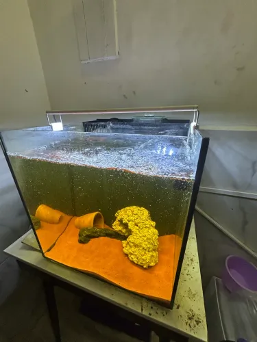 Aquario cubo