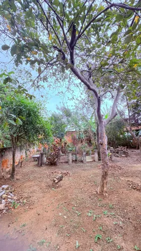 VENDA DE TERRENO/CASA