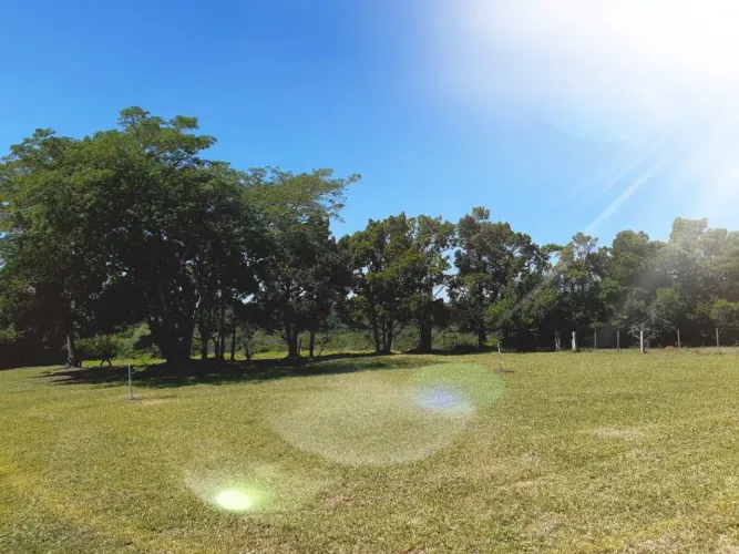 Área Rural, Fazenda, Chacaras, sitios.