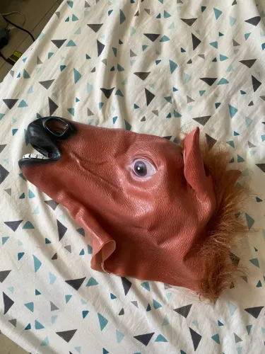 Cabeça de Cavalo 