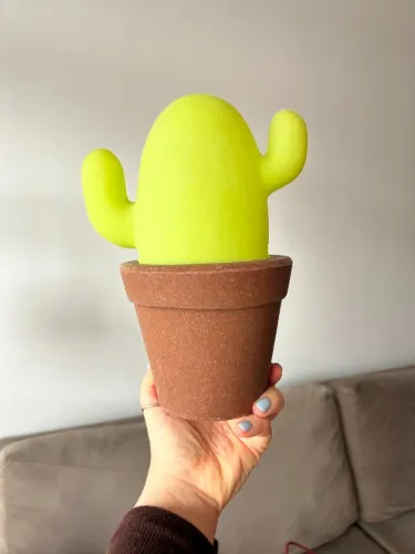 Luminária de Cactus