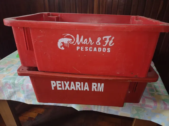 Caixas para pescados 