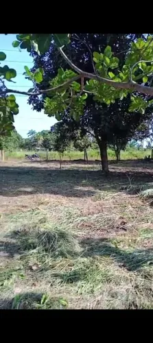 Vendo terreno que mede 20x30 na cachoeira das araras perto da cerâmica Porto Rico 17mil