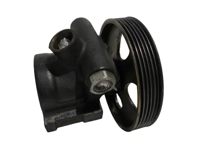 Bomba da Direção Hidráulica Peugeot 206 207 Citroen C3 Xsara Picasso 2000 a 2014 1.4 1.6