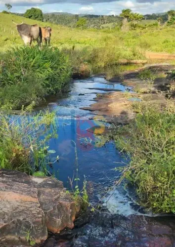 Vendo Fazenda na Região de Gongogi-BA