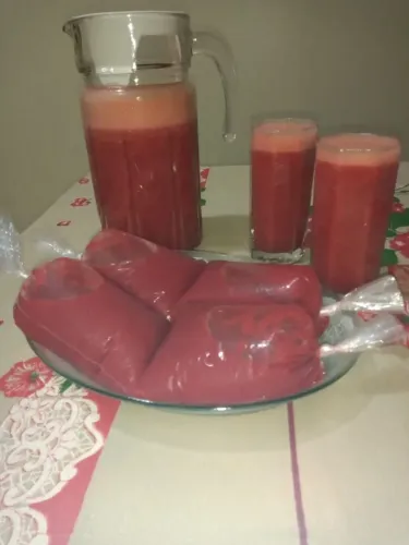 POLPA DE ACEROLA TOTALMENTE SEM ÁGUA