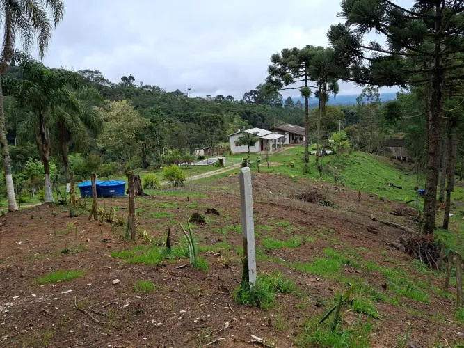 CHÁCARA/ CAMPO MAGRO-PR