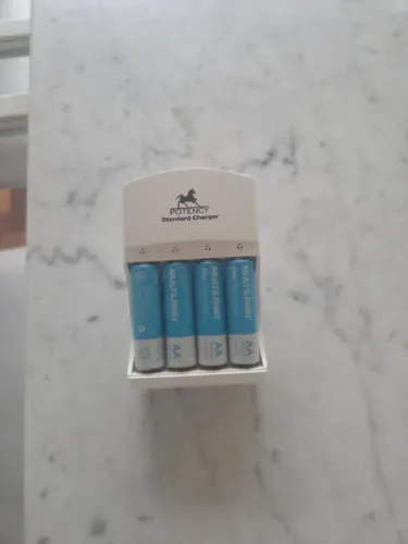 Carregador de pilhas com 4 pilhas incluídas