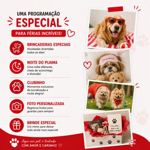 HOSPEDAGEM PARA PET, DAY CARE, PET SITTER, BANHOS