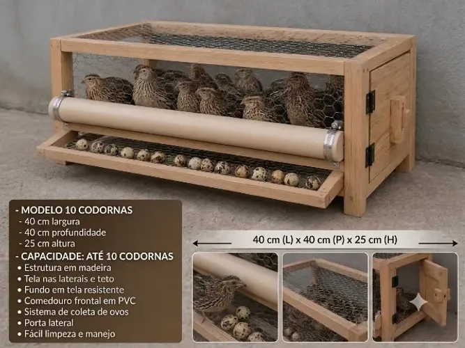 Viveiro para 10 Codornas com Rolagem de Ovos 