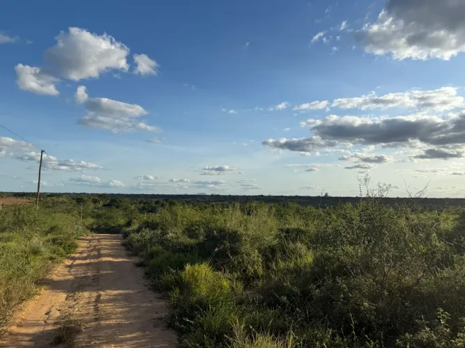 Vendo 2 Lotes para chácara em Serrinha/Bahia.
