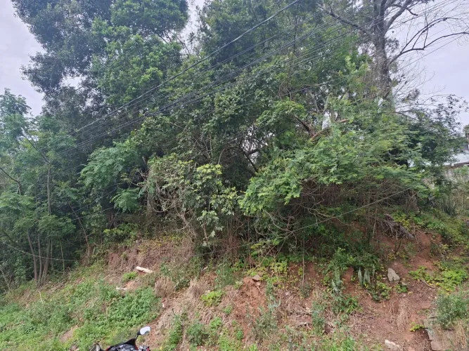Terreno de 451m² em São Leopoldo Bairro Pinheiro - Excelente Oportunidade Em Área Nobre