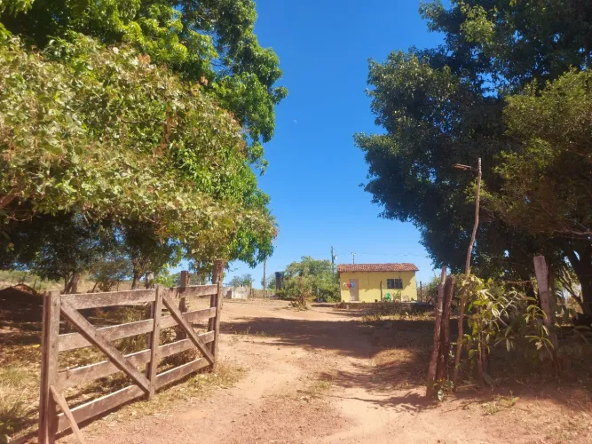 Vende-se Fazenda na divisa MA-TO, 5.5 alqueires