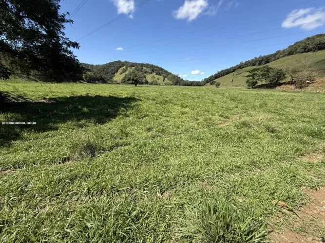 Fazenda para Venda em Silva Jardim