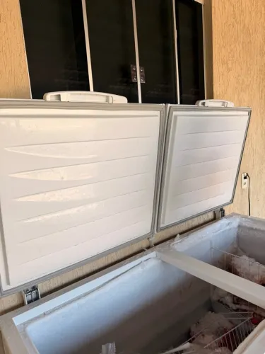 Freezer Electrolux H550