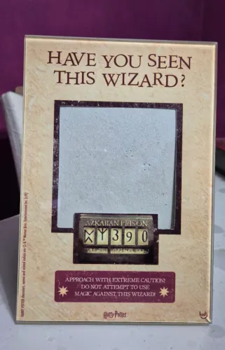 Porta retrato - Harry Potter