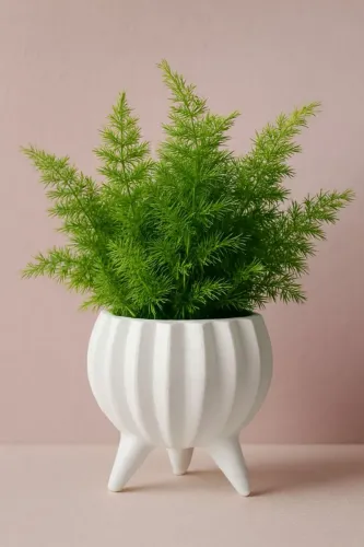 Vaso cachepô 3D