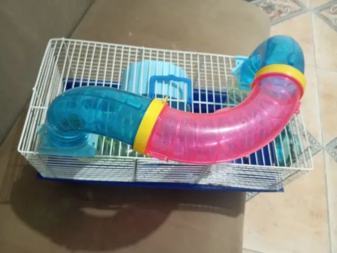 Gaiola para hamster 