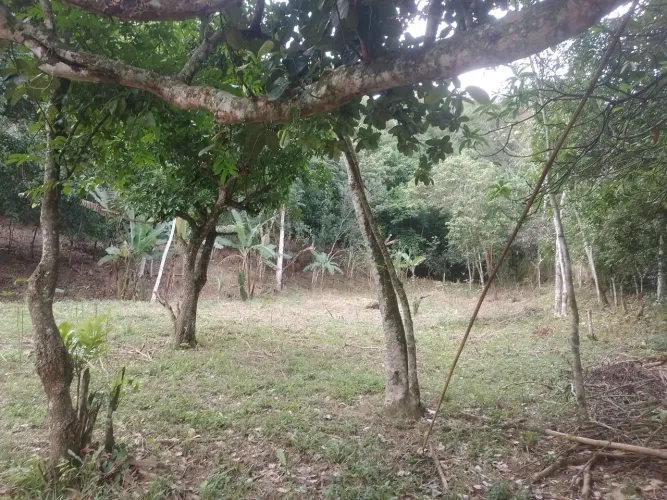 Vendo 2 sitios