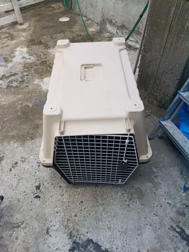 Casinha de transporte de cachorro 