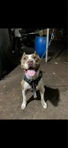 Pit monster
