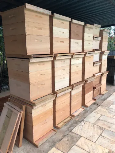 Caixa de Abelha Langstroth - Perfeita para Apicultura!