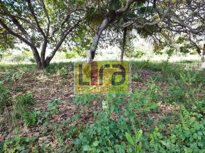 TERRENOS EM JACUMÃ, PERTO DA PB-008