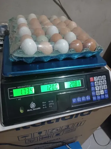 Balança eletrônica de 40 kg fazemos entregas