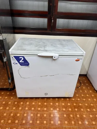 Freezer vertical
