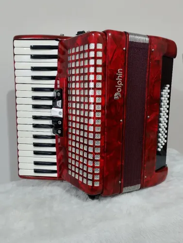 Acordeon dolphin 48 baixos