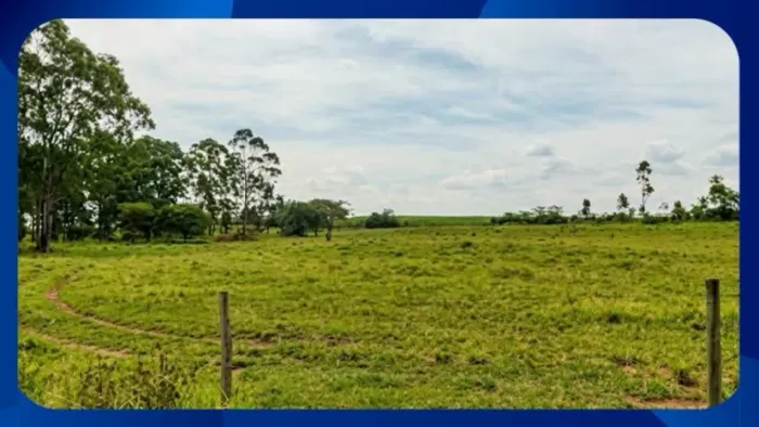 SÍTIO - Povoado Matinha, Umbaúba/SE, Área de 2,73 hectares (27.300m²) - Umbaúba/SE