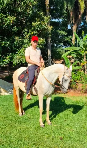 Vendo égua de luxo