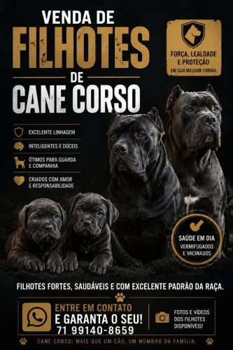 Vendo lindos filhotes 