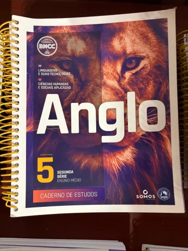 Apostila Anglo