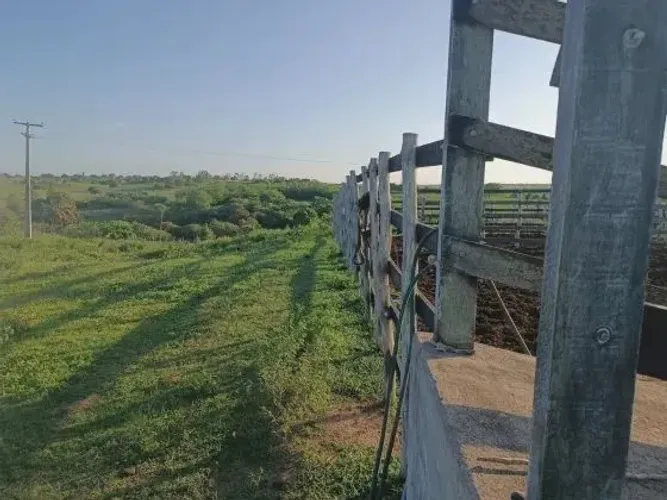 Granja com 20 hectares em Monte Alegre no distrito de comum cortada apelo rio