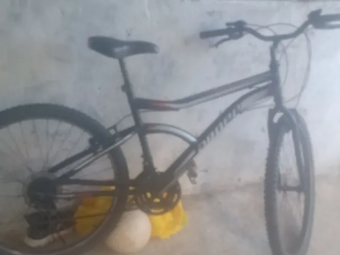 Bicicleta ZP *14