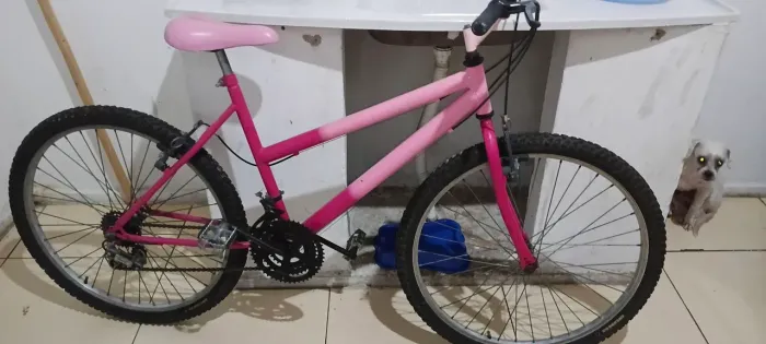 Bicicleta rosa