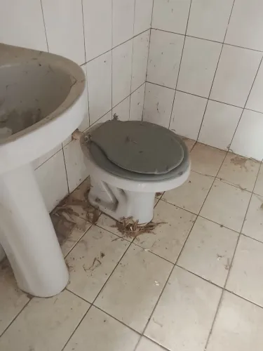 Vendo dois vasos de banheiro pq minha casa vai ser demolida amanha