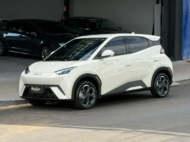 BYD Dolphin Mini (Elétrico) 2027