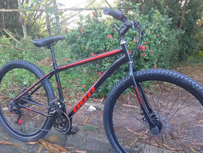 Bike aro 29