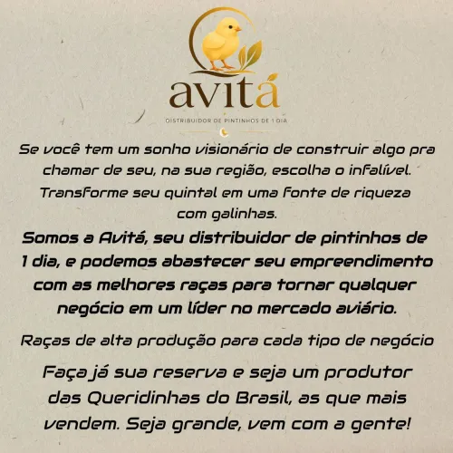 Pintinho Caipira