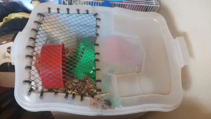 Alojamento para roedores (hamsters,camundongo)