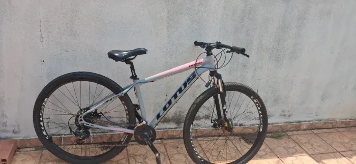 Bicicleta lotus aro29