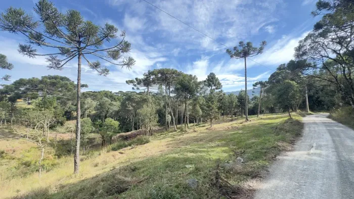 Chácara à Venda  7,1 ha | Santa Tereza, Urubici  SC