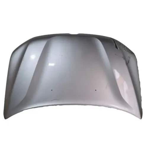 Capô Renault Duster 2021 2022 2023 2024 Original 27469